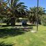 6 Bedroom Villa for rent in Chile, Copiapo, Copiapo, Atacama, Chile