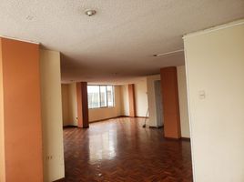 3 Habitación Apartamento en alquiler en Tungurahua, Ambato, Ambato, Tungurahua