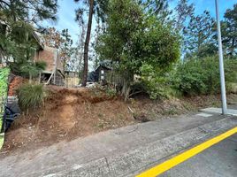  Land for sale in Morelia, Michoacan, Morelia