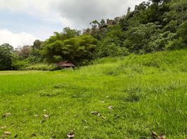  Terrain for sale in Bentong, Pahang, Bentong, Bentong