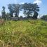  Land for sale in Guayas, Guayaquil, Guayaquil, Guayas