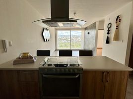 在San Luis Potosi出租的1 卧室 住宅, San Luis Potosi, San Luis Potosi