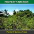  Land for sale in Mimaropa, Puerto Princesa City, Palawan, Mimaropa