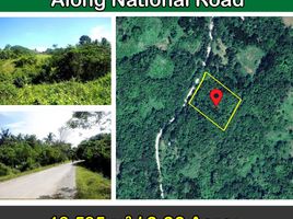  Land for sale in Mimaropa, Puerto Princesa City, Palawan, Mimaropa