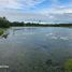  Land for sale in Ubay, Central Visayas, Ubay
