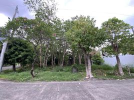  Terreno (Parcela) en venta en Muntinlupa City, Metro Manila, Muntinlupa City, Southern District, Metro Manila