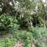 Terreno (Parcela) en venta en Muntinlupa City, Metro Manila, Muntinlupa City, Southern District, Metro Manila