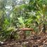  Land for rent in Agoncillo, Calabarzon, Agoncillo, Batangas