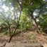  Land for rent in Agoncillo, Calabarzon, Agoncillo, Batangas