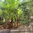  Land for rent in Agoncillo, Calabarzon, Agoncillo, Batangas