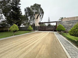  Land for sale in Mala, Lima, Mala