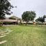  Land for sale in Mala, Lima, Mala