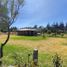  Land for sale in Tupigachi, Pichincha, Tupigachi