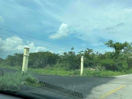Terrain à vendre à Dzidzantun, Yucatan, Dzidzantun