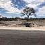 Terreno (Parcela) en venta en El Marques, Querétaro, El Marques, Querétaro