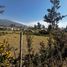  Terreno (Parcela) en venta en Sinincay, Cuenca, Sinincay