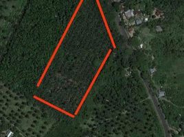  Land for sale in Sipocot, Camarines Sur, Sipocot