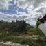  Land for sale in Nasugbu, Calabarzon, Nasugbu