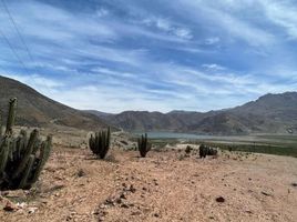  Terreno (Parcela) en venta en Chile, Vicuna, Elqui, Coquimbo, Chile