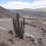  Terreno (Parcela) en venta en Chile, Vicuna, Elqui, Coquimbo, Chile