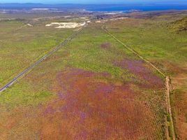  Land for sale in Chile, Coquimbo, Elqui, Coquimbo, Chile