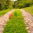  Land for sale in Copacabana Antioquia, Copacabana