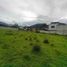  Terreno (Parcela) en venta en San Pablo, Otavalo, San Pablo