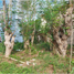 Terreno (Parcela) en venta en Quezon City, Metro Manila, Quezon City, Eastern District, Metro Manila