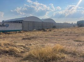  Land for rent in San Agustin Tlaxiaca, Hidalgo, San Agustin Tlaxiaca, Hidalgo