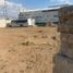  Land for rent in San Agustin Tlaxiaca, Hidalgo, San Agustin Tlaxiaca, Hidalgo