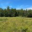  Land for sale in Chile, Los Muermos, Llanquihue, Los Lagos, Chile
