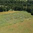  Land for sale in Chile, Los Muermos, Llanquihue, Los Lagos, Chile