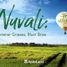  Land for sale in Calamba City, Calabarzon, Calamba City