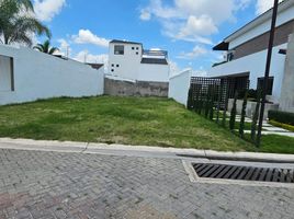  Grundstück zu verkaufen in Aguascalientes, Aguascalientes, Aguascalientes, Aguascalientes