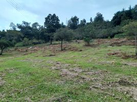  Terreno (Parcela) en venta en Villa De Leyva, Boyaca, Villa De Leyva