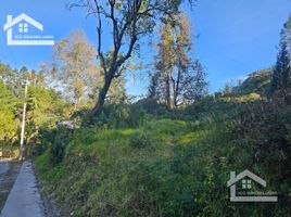  Land for sale in Mineral Del Chico, Hidalgo, Mineral Del Chico