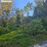  Land for sale in Mineral Del Chico, Hidalgo, Mineral Del Chico