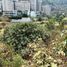  Land for sale in Naucalpan De Juarez Mexico, Naucalpan De Juarez