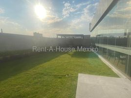 1 Habitación Apartamento en alquiler en Miguel Hidalgo, Ciudad de México, Miguel Hidalgo, Ciudad de México
