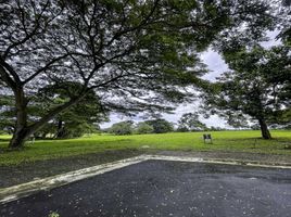  Land for sale in Calamba City, Calabarzon, Calamba City