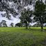  Land for sale in Calamba City, Calabarzon, Calamba City