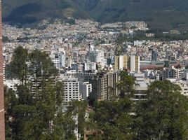 3 Bedroom Condo for rent in Pichincha, Quito, Quito, Pichincha