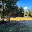  Terreno (Parcela) en venta en Cardenal Caro, Libertador General Bernardo O'Higgins, Pichilemu, Cardenal Caro