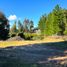  Terreno (Parcela) en venta en Cardenal Caro, Libertador General Bernardo O'Higgins, Pichilemu, Cardenal Caro