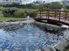  Terreno (Parcela) en venta en Tumbaco, Pichincha, Tumbaco