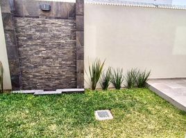 3 chambre Maison for rent in Jalisco, Zapopan, Jalisco