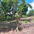  Land for sale in Malay, Aklan, Malay