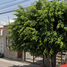 Maison 3 chambre à vendre à Zapopan, Jalisco, Zapopan, Jalisco