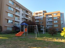 3 Schlafzimmer Wohnung zu vermieten in Los Lagos, Osorno, Osorno, Los Lagos