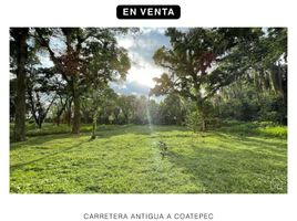  Grundstück zu verkaufen in Xico, Veracruz, Xico